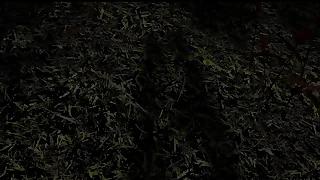 vs&period; Prey &lpar;Femboy Edition&rpar;