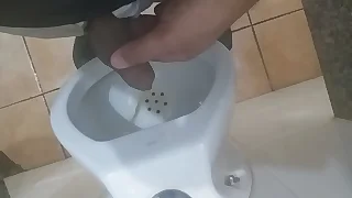 Mij&atilde;o